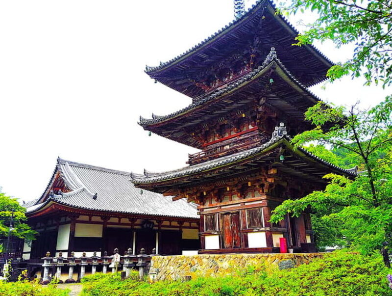 Nara: Discover a Giant Stone Buddha in the Forest Hills - FAQ