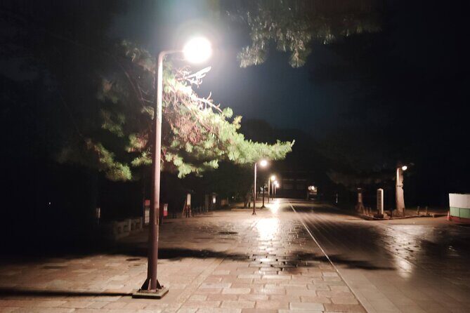 Nara: Discover Timeless Beauty in a Peaceful Night Stroll - The Experience’s Practicalities