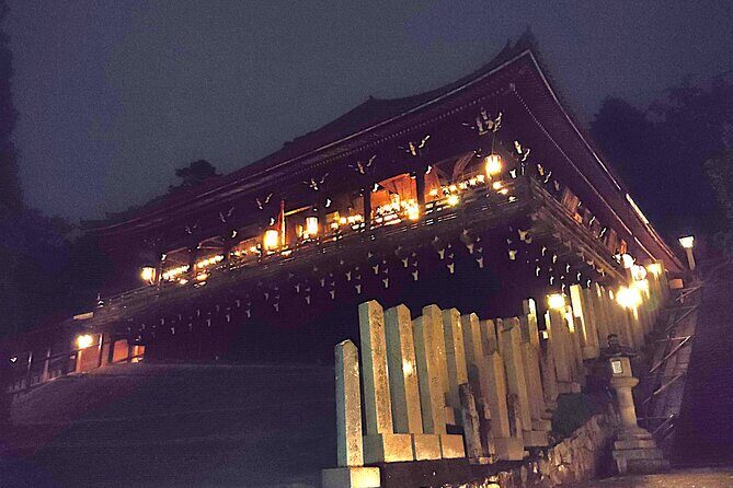 Nara: Discover Timeless Beauty in a Peaceful Night Stroll - A Closer Look at the Itinerary