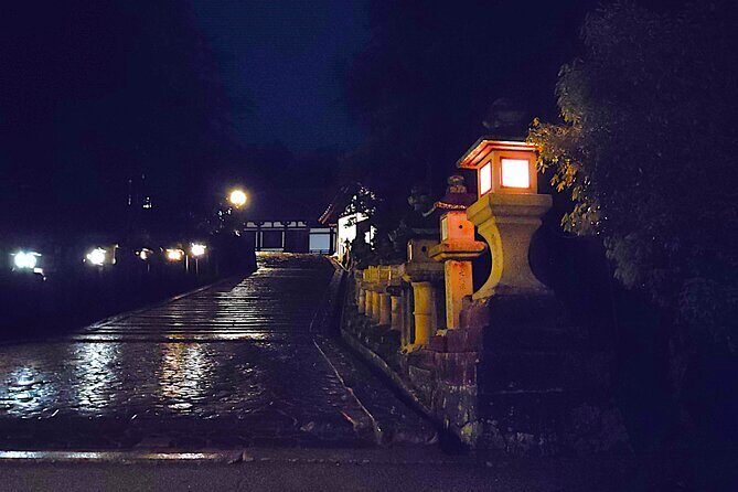 Nara: Discover Timeless Beauty in a Peaceful Night Stroll - The Sum Up