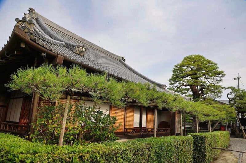 Nara: Dusk Walk with Calligraphy and Lanterns - Who Will Love This Tour?