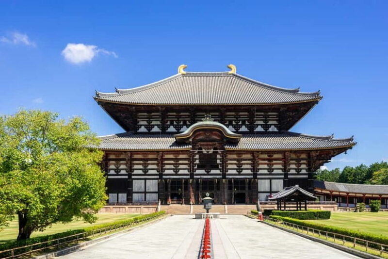 Nara: Enjoy the Highlights of Nara in 3 Hours - Key Points