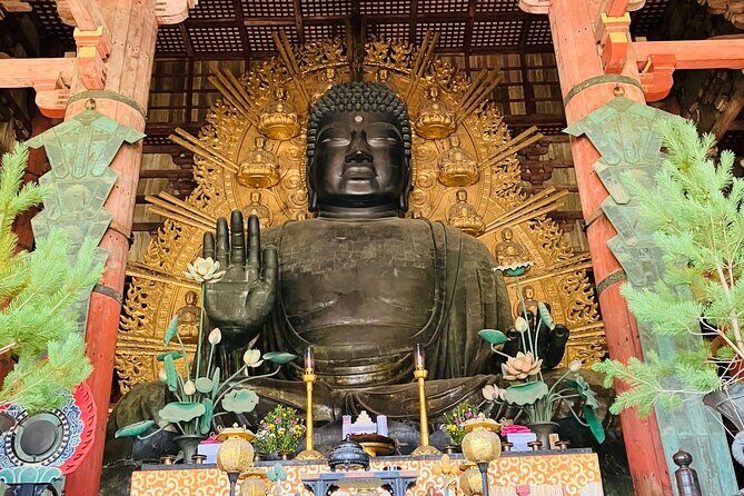 Nara: Essential Private Tour with Deer Park and Temples - Key Points