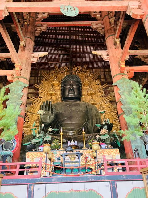 Nara: Essential Private Tour with Deer Park and Temples - Authentic Insights from Reviewers