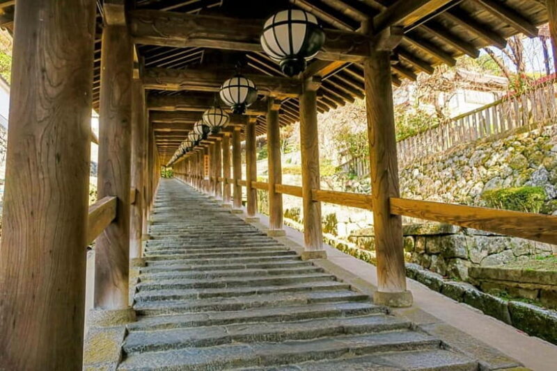 Nara: Explore Hasederas Giant Kannon and Cliffside Temple - What We Love About This Tour