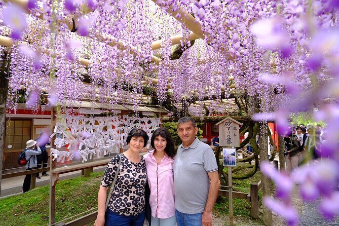 Nara Explore Top Highlights by Private Walking Tour - Key Points