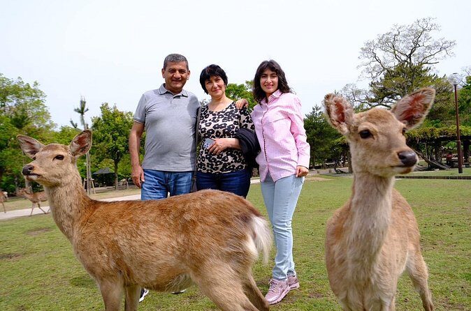 Nara Explore Top Highlights by Private Walking Tour - Final Thoughts