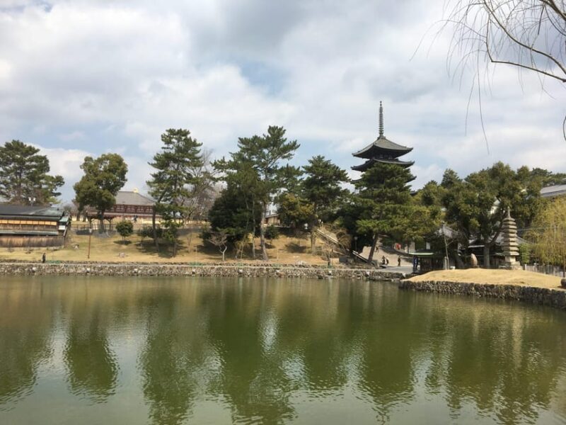 Nara: Full-Day Private Guided Tour - Who Should Consider This Tour?