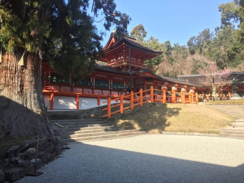 Nara: Full-Day Private Guided Tour - Final Thoughts