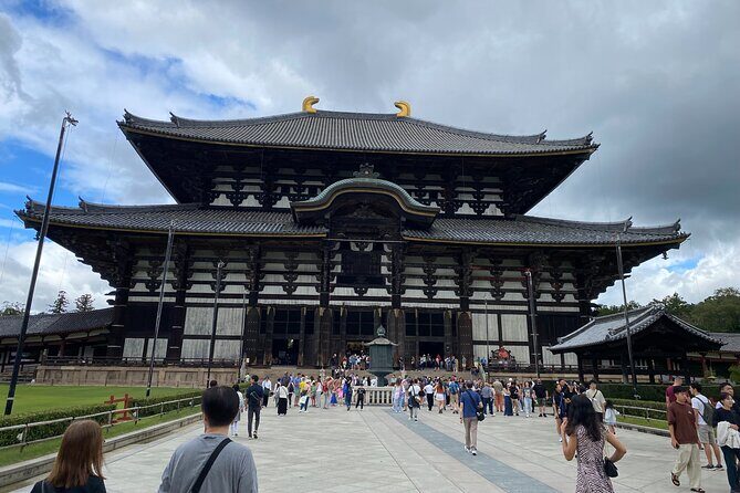Nara Guided Tour by Private Car from Kyoto - Key Points