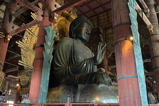 Nara Guided Tour by Private Car from Kyoto - Practical Details and Value