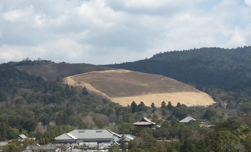 Nara: Half-Day Private Guided Tour - Key Points