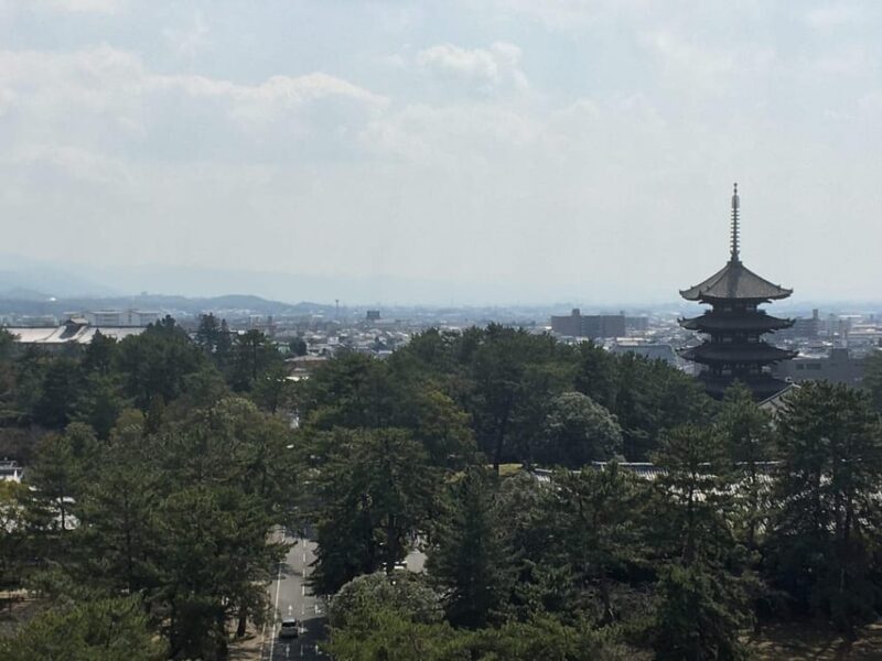Nara: Half-Day Private Guided Tour - Who Is This Tour Best For?