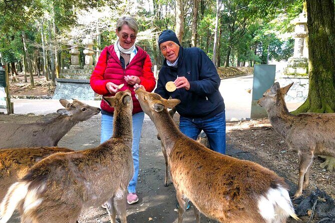 Nara: Half-Day Private Tour of 4 Must-See Spots & Deer Park - Key Points