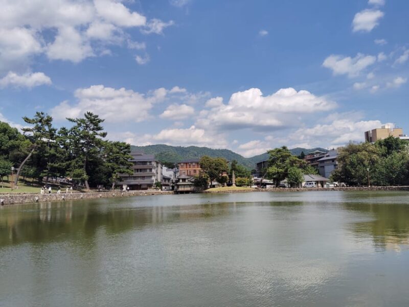 Nara: Half-Day Private Tour of 4 Must-See Spots & Deer Park - Exploring Nara’s Temples and Shrines