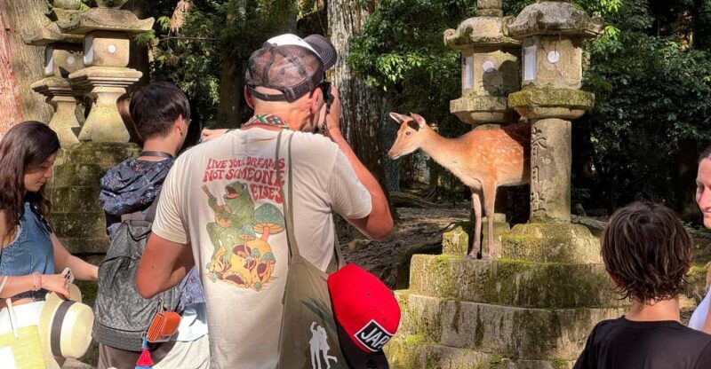 Nara: Half-Day Private Tour of 4 Must-See Spots & Deer Park - The Cultural Heart in Nara’s Old Town