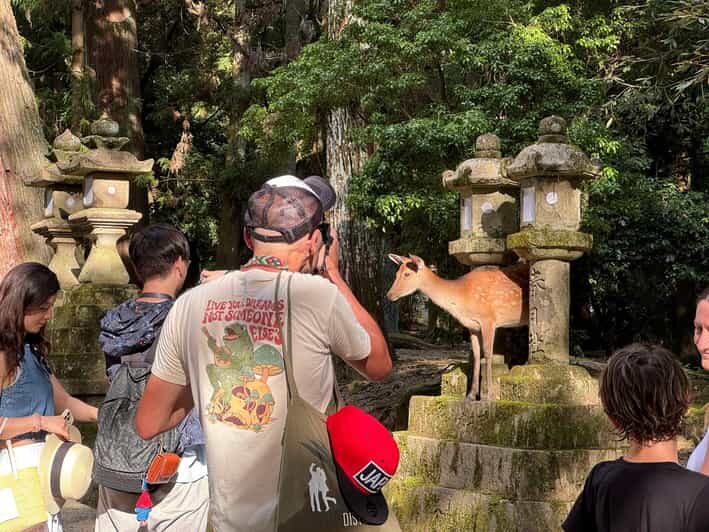 Nara: Half-Day Private Tour of 4 Must-See Spots & Deer Park - Practical Details and Tips