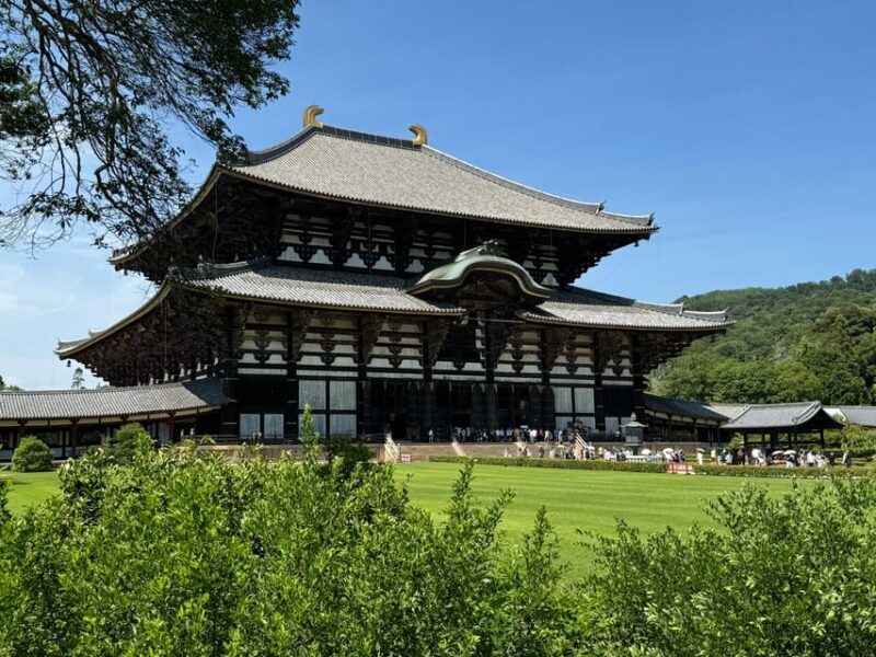 Nara: Half-Day Private Tour of 4 Must-See Spots & Deer Park - Authentic Experiences and What Travelers Love