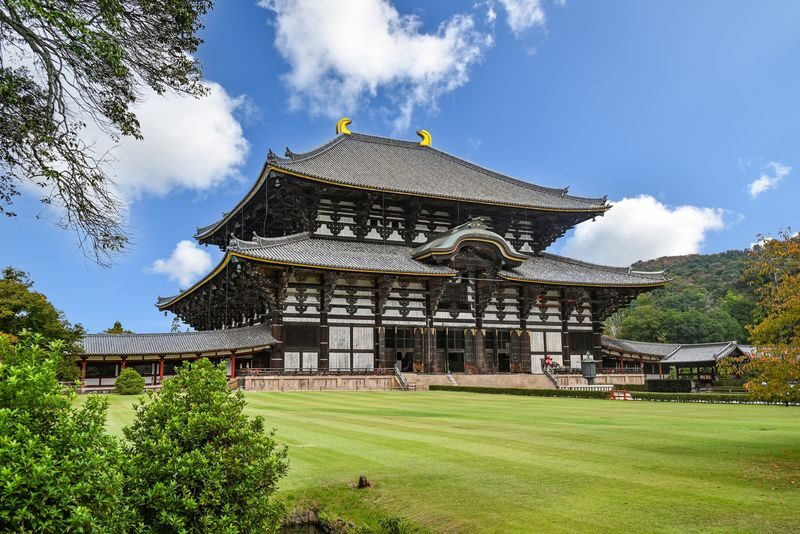 Nara Half-Day Small Group Tour - A guided half-day, not a full day in Nara