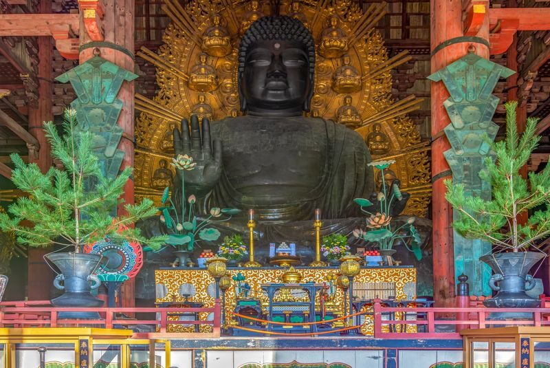 Nara Half-Day Small Group Tour - Timing deserves a closer look
