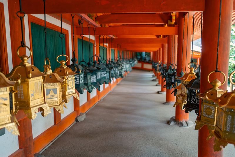 Nara Half-Day Small Group Tour - Who is likely to enjoy this tour