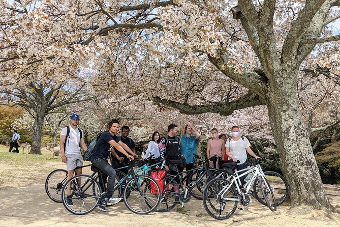 Nara - Heart of Nature Bike Tour - Exploring Nara on Two Wheels: The Heart of Nature Bike Tour