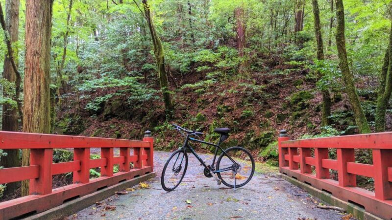 Nara: Heart of Nature Temple, Forest, & Waterfall Bike Tour - The Sum Up