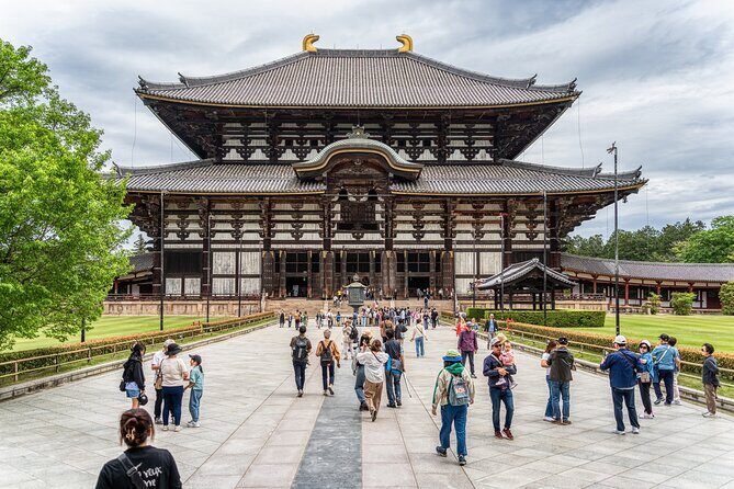 Nara Heritage & Sake Tasting: Private Shore Tour from Osaka Port - Key Points