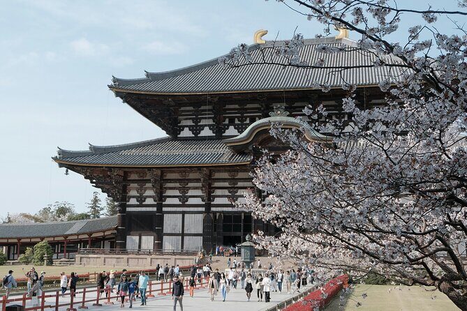 Nara Heritage Walkabout from Nara Park to Todaji Temple - The Price and Value