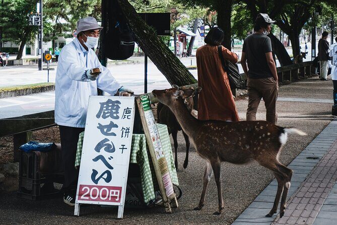 Nara Heritage Walkabout from Nara Park to Todaji Temple - Frequently Asked Questions