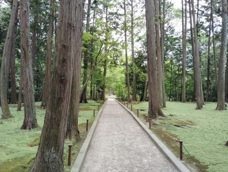 Nara: Hidden World Heritage Yakushi-ji & Toshodai-ji (3H) - The Historical and Cultural Significance