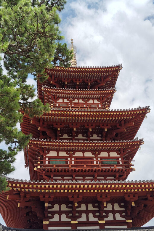 Nara: Hidden World Heritage Yakushi-ji & Toshodai-ji (3H) - Who Should Take This Tour?