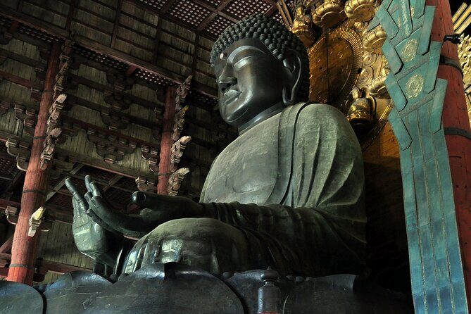 Nara Highlight Private Walking Tour with Licensed Guide - Who Will Love This Tour?