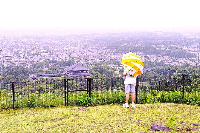 Nara: Hike Mt. Wakakusa and Encounter Wild, Free-Roaming Deer - Why This Tour Stands Out