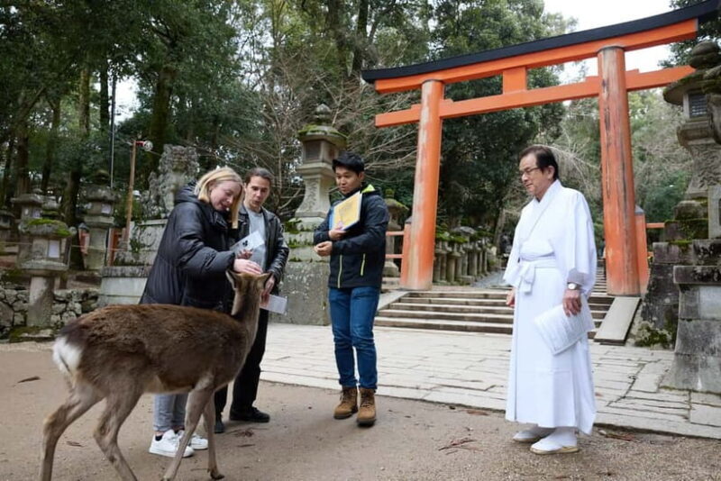 Nara: Kasuga Taisha, Sacred Deer Shrine Guided Tour - Practical Tips for Your Visit