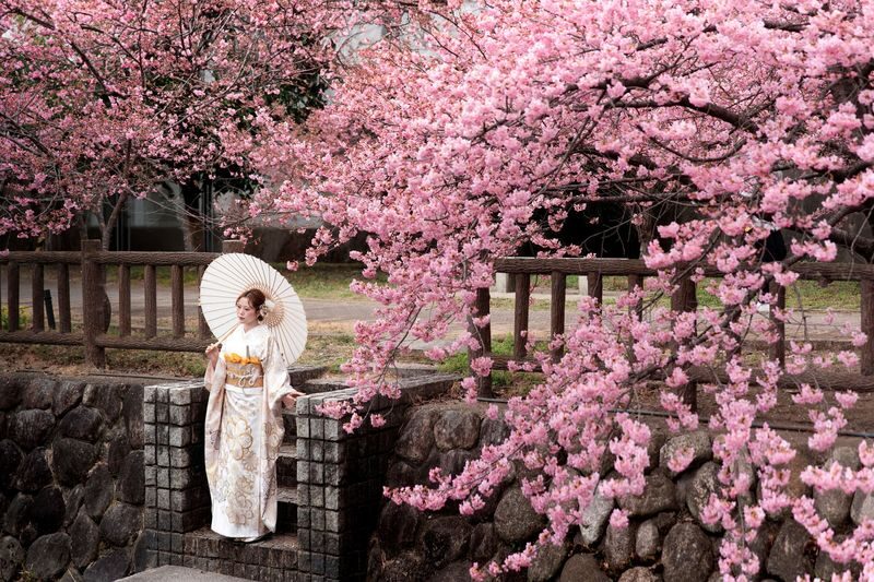 Nara Kimono Rental & Photo Shoot Experience | Kimono Rental Misaki - What to know before you book
