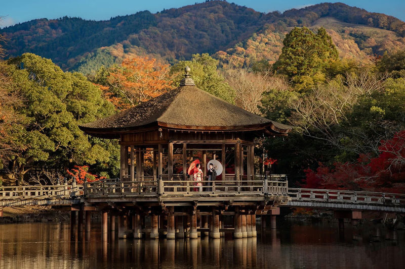 Nara Kimono Rental & Photo Shoot Experience | Kimono Rental Misaki - Walking from the shop toward Nara Park and Todai-ji