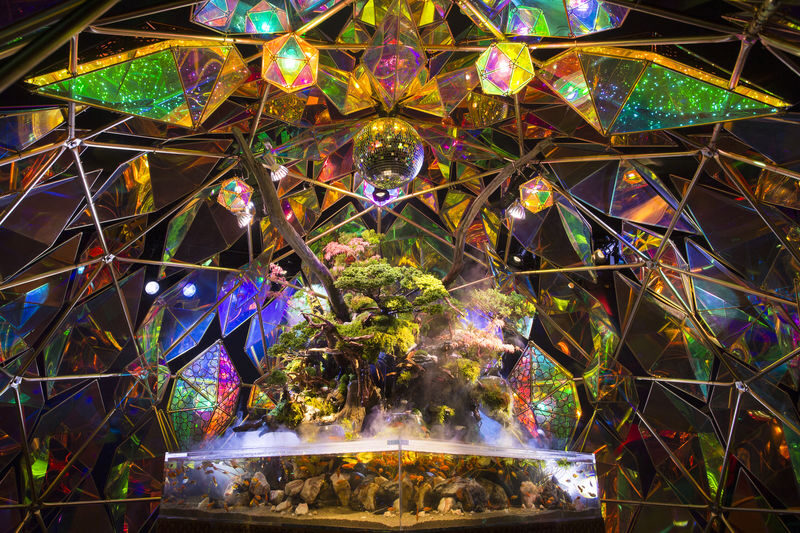Nara Kingyo Museum Admission Ticket - Goldfish displays made for lingering