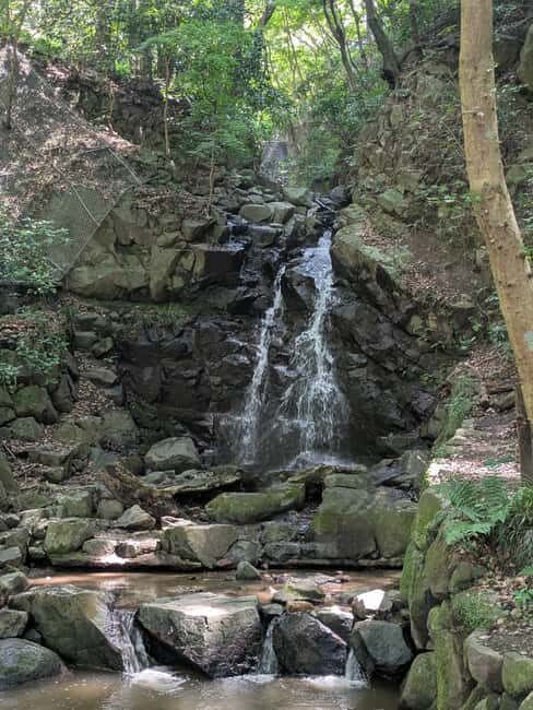 Nara: Mt. Ikoma Guided Hiking Tour with Cable Car and Views - An In-Depth Look at the Mt. Ikoma Guided Hiking Tour