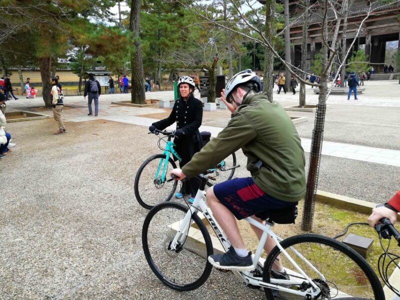 Nara: Nara Park Private Family Bike Tour with Lunch - Key Points