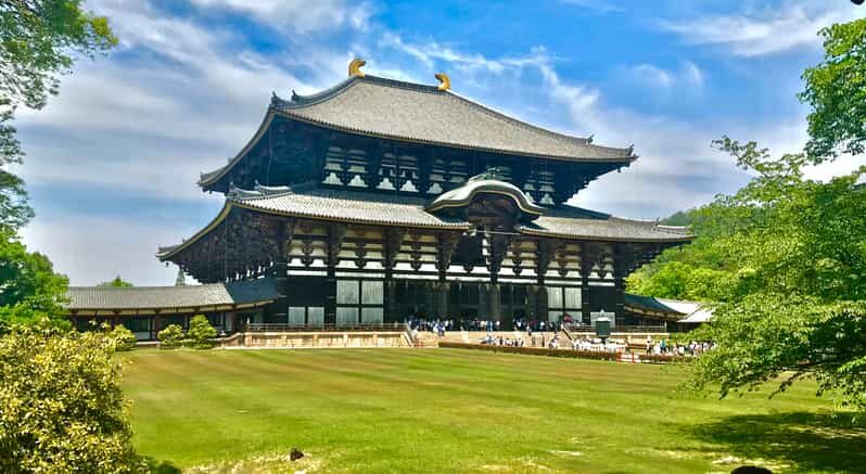 Nara Park and Todai-ji Private Spanish Tour - Nara Park and Todai-ji Private Spanish Tour: A Deep Dive into Japan’s Ancient Capital