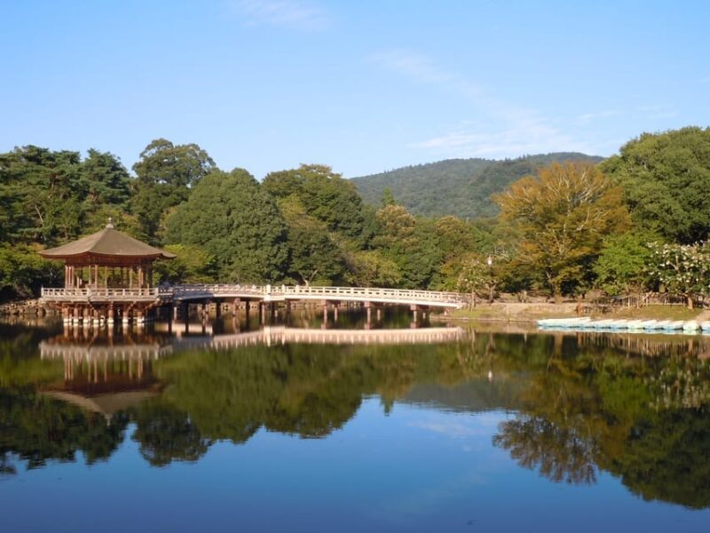 Nara Park and Todai-ji Private Spanish Tour - Final Thoughts