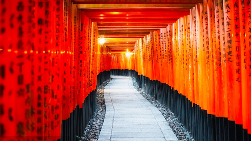 Nara Park & Arashiyama & Fushimi Inari-taisha Senbon Torii One-Day Tour (Departing from Osaka/Kyoto) - Three famous stops, one packed day