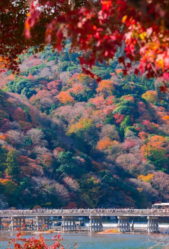 Nara Park & Arashiyama & Fushimi Inari-taisha Senbon Torii One-Day Tour (Departing from Osaka/Kyoto) - What the tour is like between stops