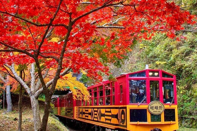 Nara Park, Golden Pavilion Bamboo Forest Day Trip From Osaka - An Honest Look at the Nara Park, Golden Pavilion & Bamboo Forest Day Trip From Osaka