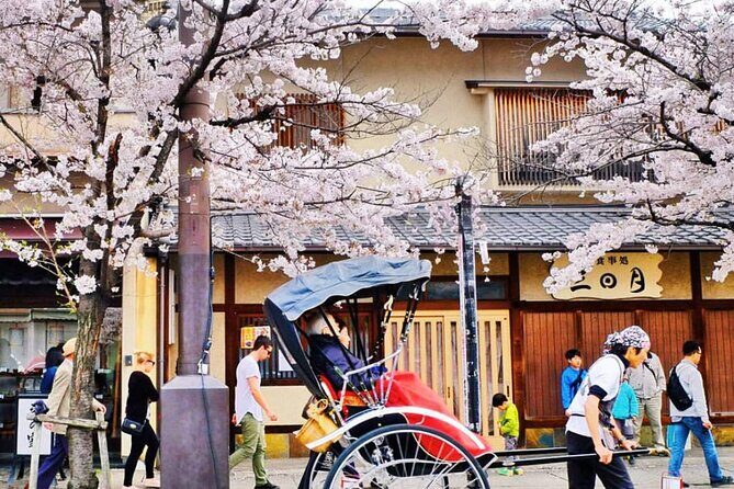 Nara Park, Golden Pavilion Bamboo Forest Day Trip From Osaka - Key Points