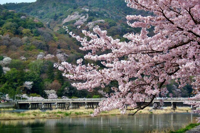Nara Park, Golden Pavilion Bamboo Forest Day Trip From Osaka - Analyzing the Cost: Is It Worth It?