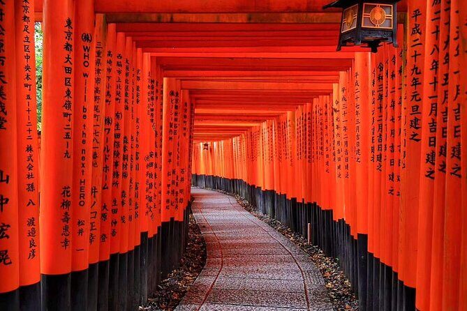 Nara Park, Golden Pavilion Bamboo Forest Day Trip From Osaka - FAQ