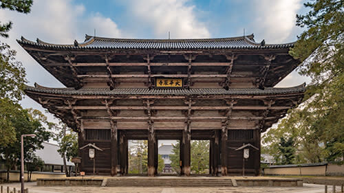 Nara Park & Kinkakuji Temple Heritage Tour with Tea Ceremony - Should you book it?