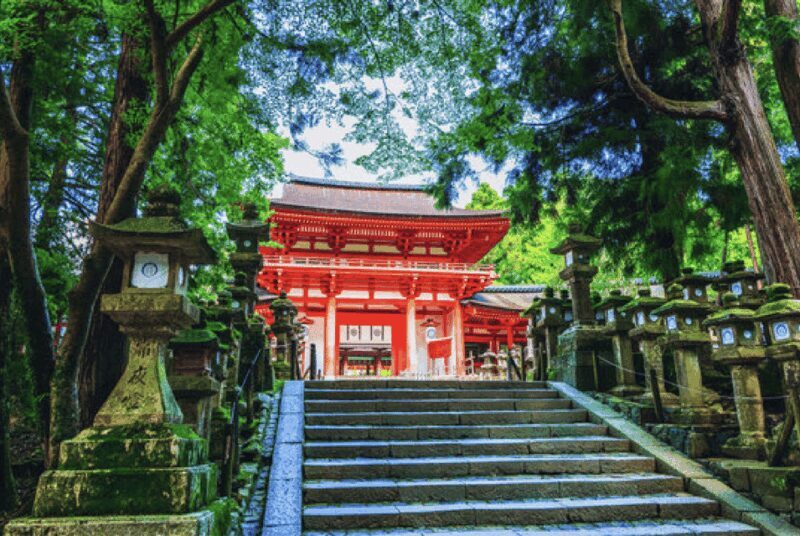 Nara Private Custom Tour with Local Guide - Who Is This Tour Best For?